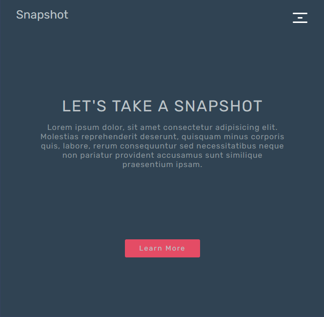 image of a Snapshot